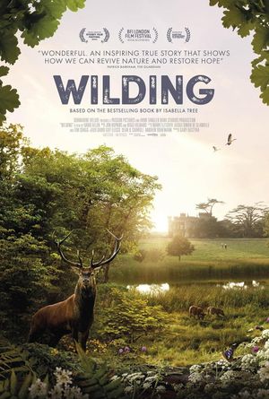 Wilding's poster