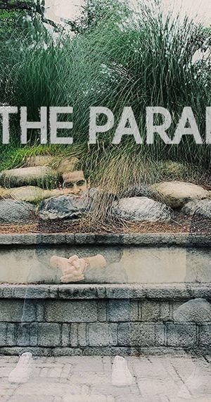 The Paradox's poster