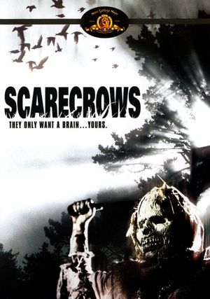 Scarecrows's poster