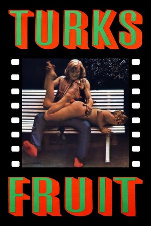Turkish Delight's poster