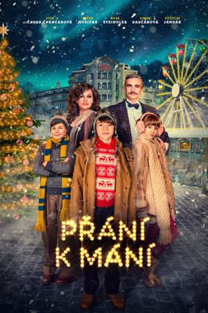The Third Wish's poster