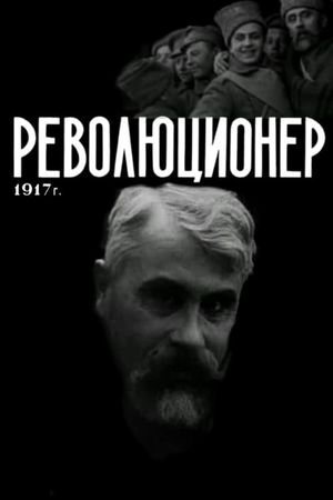 A Revolutionary's poster