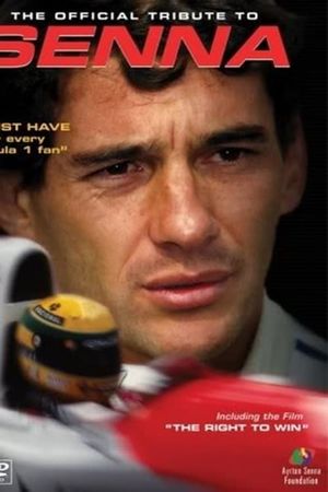 The Right to Win's poster