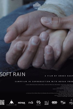 Soft Rain's poster
