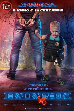The Partner's poster