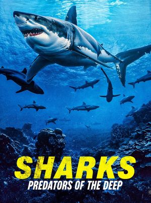 Sharks: Predators of the Deep's poster image