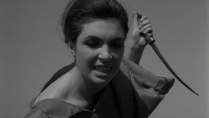 The Rape of the Vampire's poster