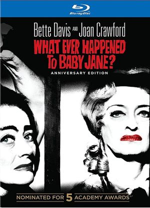 Bette and Joan: Blind Ambition's poster