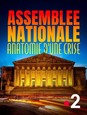Assemblée nationale, anatomie d'une crise's poster