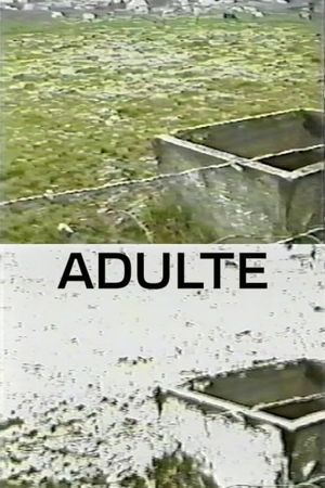 Adulte's poster