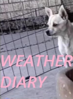 Weather Diary 3's poster
