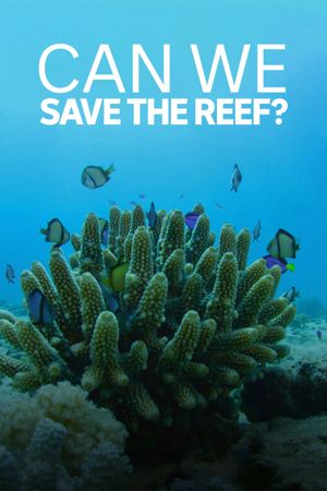 Can We Save the Reef?'s poster
