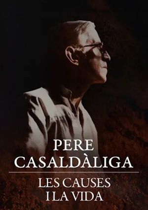 Pere Casaldàliga. Les causes i la vida's poster