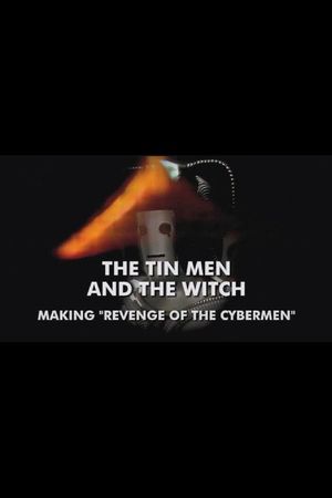 The Tin Men and the Witch's poster