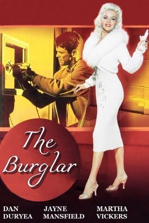 The Burglar's poster