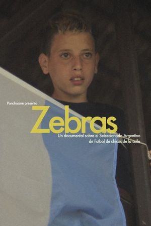 Zebras's poster