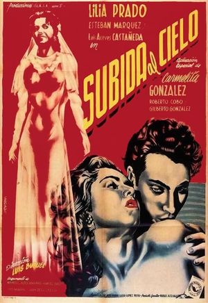 Mexican Bus Ride's poster