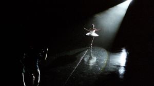 Black Swan: Metamorphosis's poster