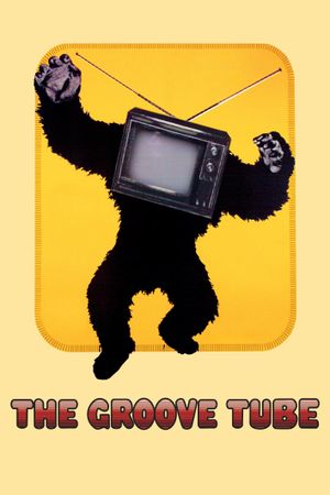 The Groove Tube's poster