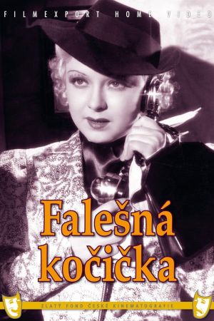 Falesná kocicka's poster