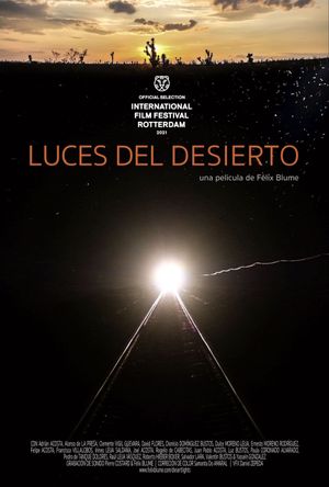 Desert Lights's poster