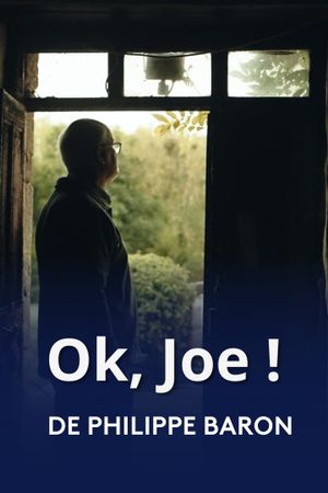 OK, Joe !'s poster