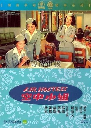 Air Hostess's poster