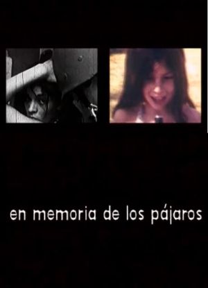 En memoria de los pájaros's poster