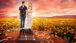 Love in the Limelight's poster