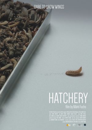 Hatchery's poster