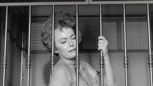 Lady in a Cage's poster