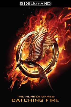 The Hunger Games: Catching Fire's poster