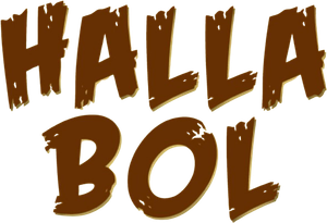 Halla Bol's poster