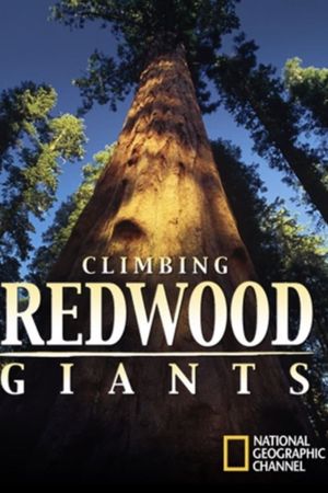 Climbing Redwood Giants's poster