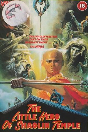 The Little Hero of Shaolin Temple's poster
