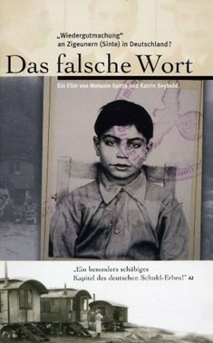 The Lie's poster