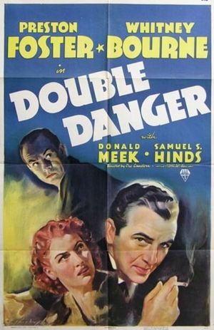 Double Danger's poster