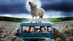 Black Sheep's poster