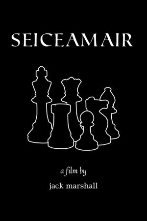 Seiceamair's poster image