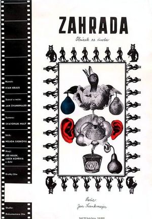 The Garden's poster