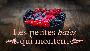Les petites baies qui montent's poster
