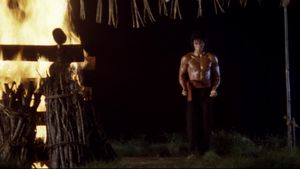 Ninja Warriors's poster