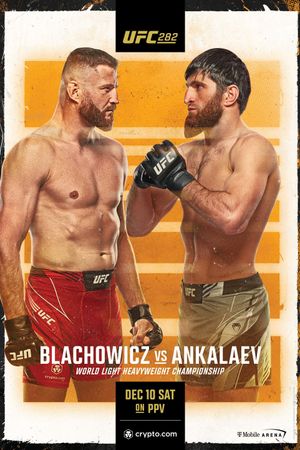 UFC 282: Blachowicz vs. Ankalaev's poster