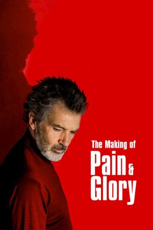 The Making of Pain and Glory's poster