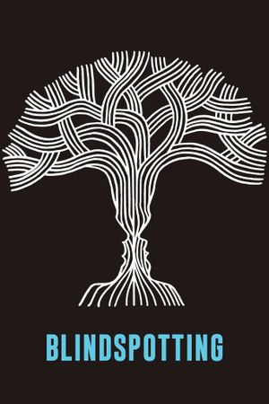 Blindspotting's poster