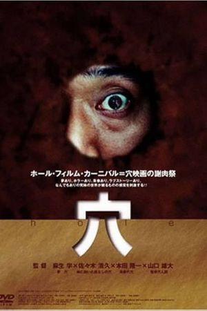 Hole's poster image