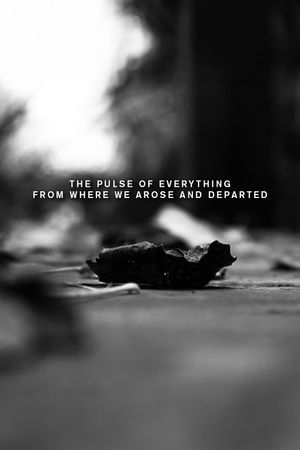 The pulse of everything from where we arose and departed's poster image