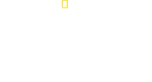 Sky Sharks's poster
