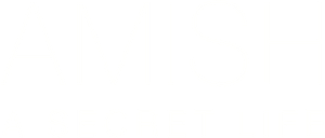 Amish: A Secret Life's poster