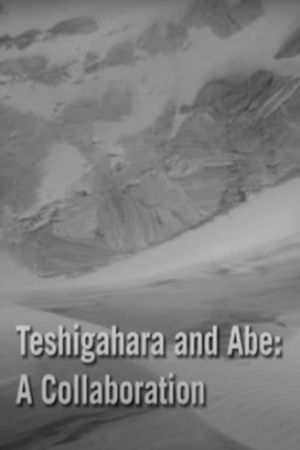 Teshigahara and Abe's poster